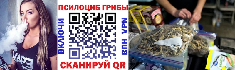 Псилоцибиновые грибы Psilocybe  Благовещенск 